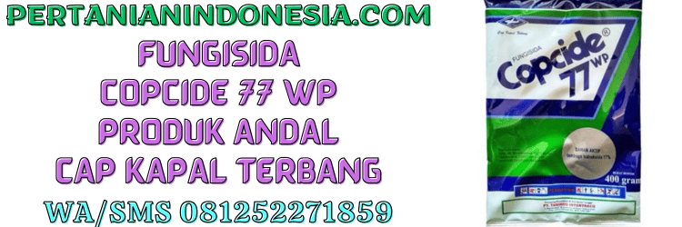 fungisida,copcide 77 wp,indotani,cap kapal terbang,pertanian indonesia